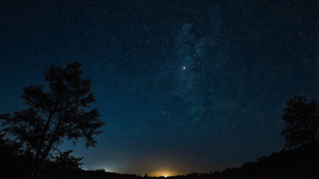 Milky way in the night sky with stars and silhouette of trees