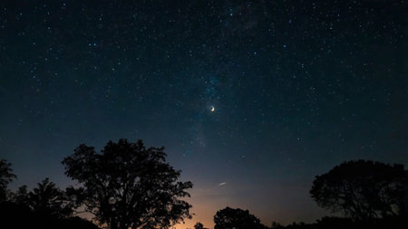 Night sky with stars and milky way over the trees. Long exposure photograph.の写真素材