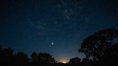 Milky Way in the night sky with stars and silhouette of treesの写真素材