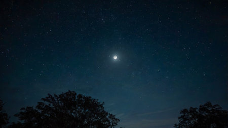 Night sky with stars and milky way. Beautiful starry sky.の写真素材
