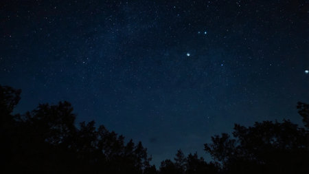 Night sky with stars and milky way in the forest. Starry night sky.の写真素材