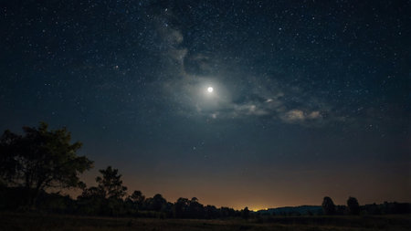 night sky with stars and milky way over the field in summer