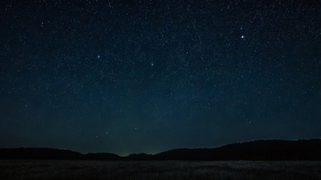 Night sky with stars and milky way over a meadow.