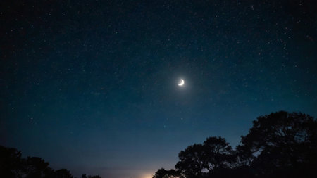 Night sky with stars and the moon. Beautiful night sky with stars and the moon.の写真素材