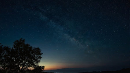 Night sky with stars and milky way over the forest. Long exposure