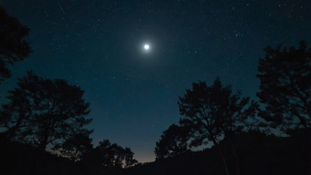 Night sky with stars and moon over the forest. Long exposure photograph.