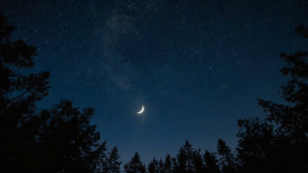 Night sky with stars and the moon. Starry night sky.の写真素材
