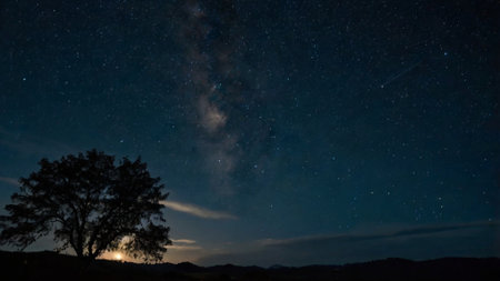 Milky Way over Silhouette of a tree in the mountains