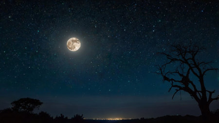 Night sky with full moon and stars.の写真素材