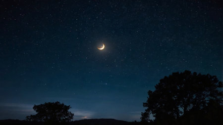 The moon in the night sky with stars and the silhouette of treesの写真素材