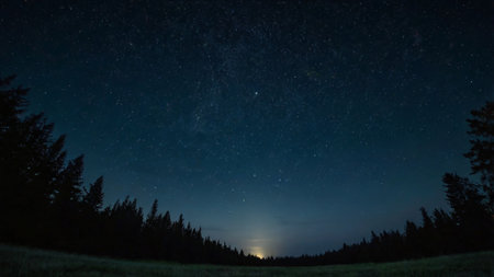 Night sky with stars and milky way over forest. Long exposure