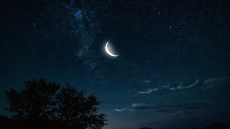 Night sky with stars and the moon. Beautiful night sky with stars and the moon.の写真素材