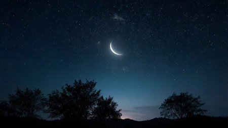 Night sky with moon and stars.の写真素材