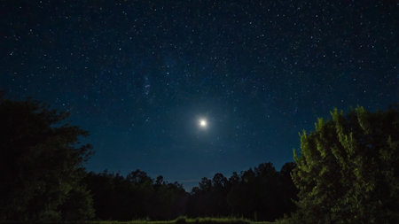 Night sky with stars and milky way over forest. Long exposureの写真素材