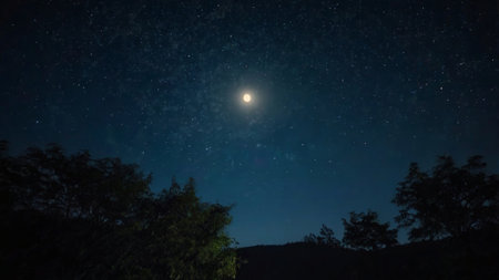 Night sky with stars and the moon in the starry sky.の写真素材