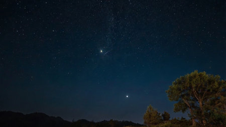 Night starry sky with milky way and pine tree. Long exposure.の写真素材