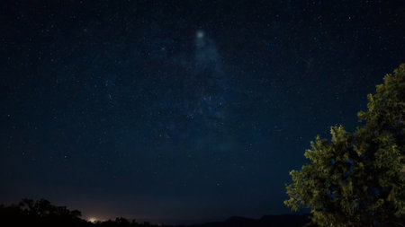 Night sky with stars and milky way over trees and mountains.