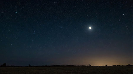 Night sky with stars and milky way over the field in summerの写真素材