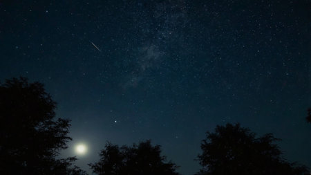 Night sky with stars and moon. Starry sky with stars and milky way