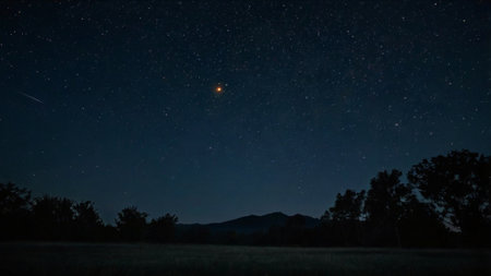 Night sky with stars over the forest and mountains.の写真素材