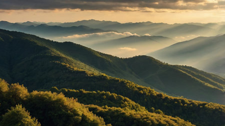 Sunset in the mountains. Sunrise in the Carpathian Mountains.の写真素材