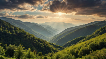 Beautiful summer landscape in the Carpathian mountains, Ukraine.の写真素材