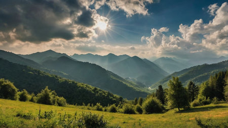 Beautiful summer landscape in the Carpathian Mountains, Ukraine.の写真素材