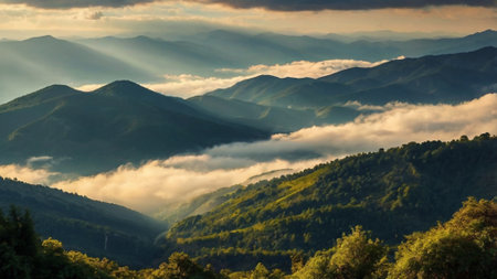 Morning fog in the Carpathian mountains. Ukraine, Europe.の写真素材