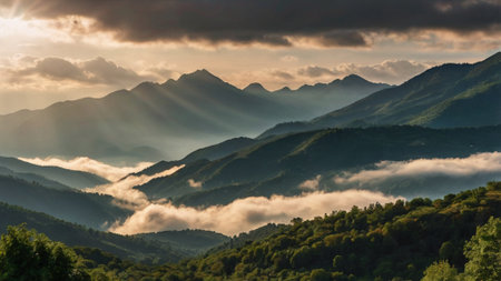 Morning fog in the mountains. Carpathians, Ukraine, Europe.の写真素材