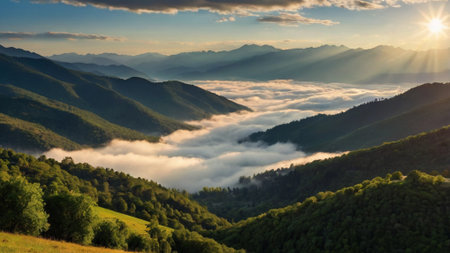 Foggy morning in the Carpathian mountains, Ukraine.