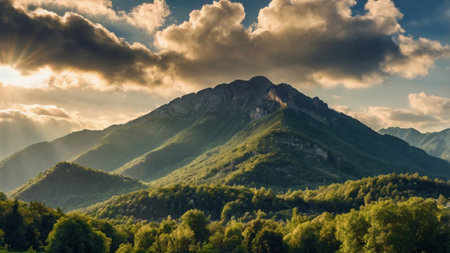 Panoramic view of the mountains and forest at sunset. Caucasus Mountains, Georgia.の写真素材
