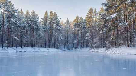 Frozen lake in the winter forest. Winter landscape with frozen lake.