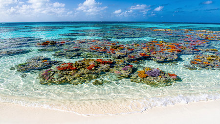 Beautiful coral reef on tropical beach in Cayo Largo, Cuba