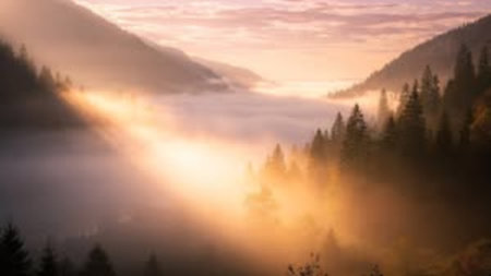 Beautiful panoramic view of foggy morning in the mountains