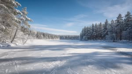 Panoramic view of frozen lake in winter forest. Blurred background.