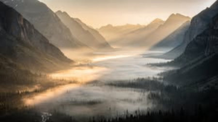 Foggy morning in Glacier National Park, Montana, USA.