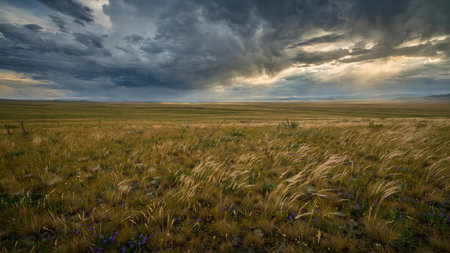 A captivating scene of a vast grassland under a dramatic sky with storm clouds and a setting sun. The golden light illuminates the tall grasses and wildflowers, creating a serene yet powerful natural landscape.
