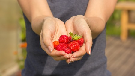 Girl holding fresh strawberries in her hands, close-up