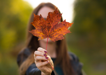 Young beautiful girl in autumn park holds a maple leafの写真素材