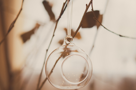 Glass ball or candlestick on a tree branch, retro toningの写真素材