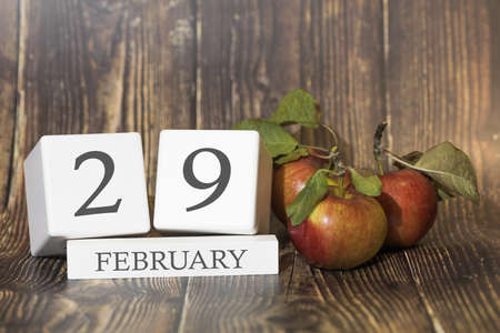 February 29. Day 29 of month. Calendar cube on wooden background with red apples, concept of business and an important event. Winter season.の写真素材
