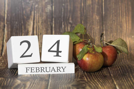 February 24. Day 24 of month. Calendar cube on wooden background with red apples, concept of business and an important event. Winter season.の写真素材