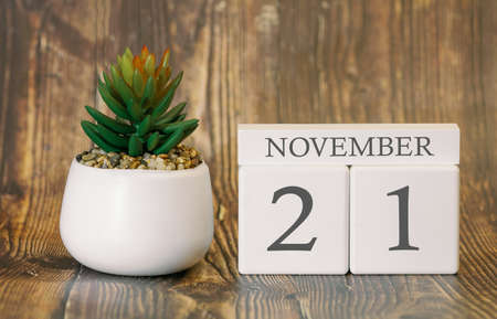 Flower pot and calendar for the fall season from 21 November. Autumn time.の写真素材
