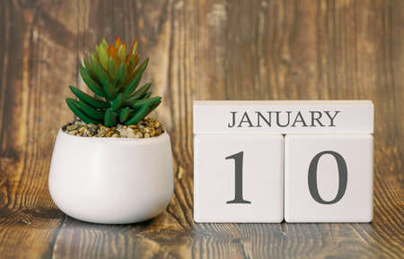 Flower pot and calendar for the snow season from 10 January. Winter time.の写真素材