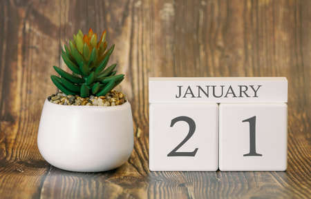 Flower pot and calendar for the snow season from 21 January. Winter time.の写真素材