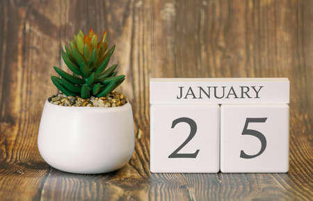 Flower pot and calendar for the snow season from 25 January. Winter time.の写真素材