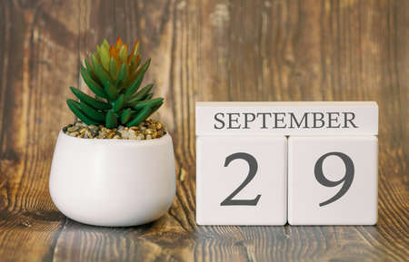 Flower pot and calendar for the cool season from 29 September. Autumn time.の写真素材
