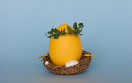 Yellow easter egg in nest on blue backgroundの写真素材