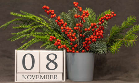 Memory and important date November 20, desk calendar - autumn season.の写真素材