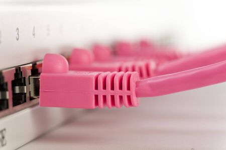 Ethernet caples connected, concept of networkingの写真素材